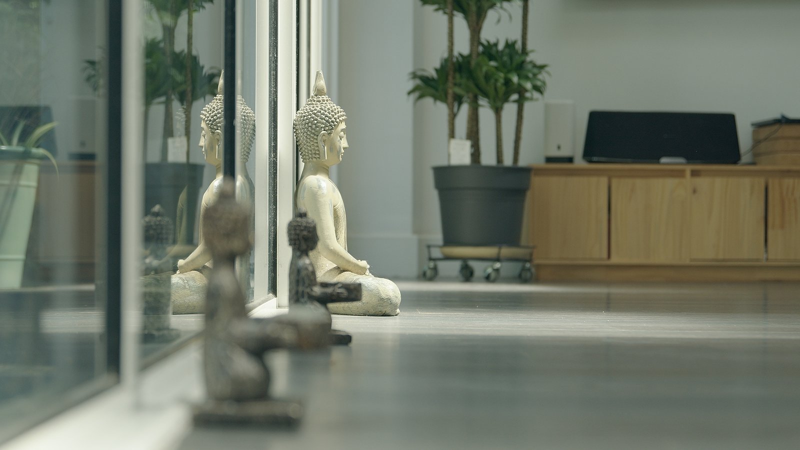 Buddha figures reflected in the Phoenix Yoga studio mirror